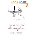 A Cat Called Birmingham