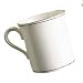 Lenox Federal Platinum Bone China Mug