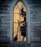 witch lace window panel