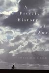 A Private History of Awe