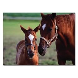 Melissa & Doug 0060 pc Mare & Foal Cardboard Jigsaw