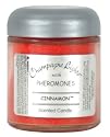 Champagne Lights Candle (Cinnamon)