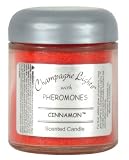 Champagne Lights Candle Cinnamon