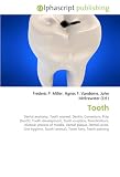 Tooth: Dental anatomy, Tooth enamel, Dentin, Cementum, Pulp (tooth), Tooth development, Tooth eruption, Periodontium, Alveolar process of maxilla, Dental ... Tooth (animal), Tooth fairy, Tooth painting