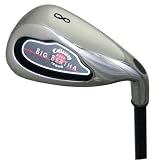 Callaway Golf 2004 Big Bertha Iron Set (4-10,W)