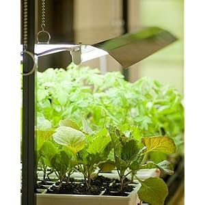T-5 Grow Light Fixture