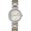 Timex Elevated Classics Crystal