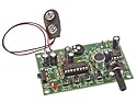 Digital Voice Changer Kit