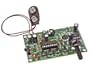Digital Voice Changer Kit