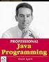 Professional Java Programming