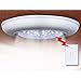 Sierra Tools JB5571 Ceiling/Wall Light with Remote