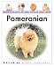 Living with a Pomeranian