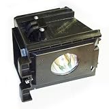 Buy New E-Replacements Compatible Rptv Lamp For Samsung Dlp Rear Projection Television Units
