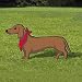 Pattern for Pups On Parade - Dachshund