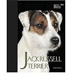 Jack Russell terrier