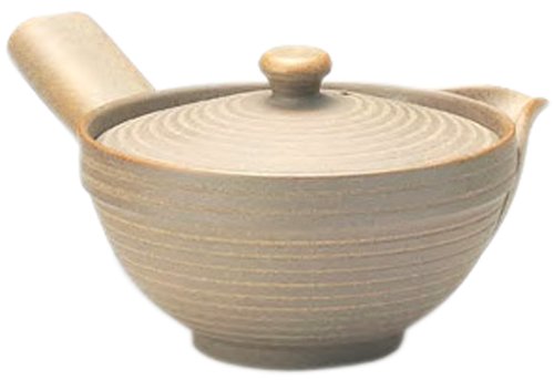 常滑焼 焼〆急須 盛正作 セラメッシュM-164