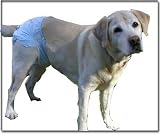 Handicappedpets