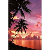 Tahitian Sunset (Palm Trees) Art Poster Print