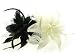 Haarschmuck Fascinator Haarkamm Federn (HACC301)