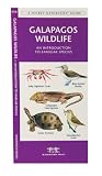 Galapagos Wildlife: An Introduction to Familiar Species (Ecotourism: Parks & Sanctuaries Guides)