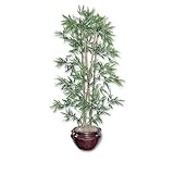 Nu-Dell Artificial Bamboo Tree 6ft Overall Height Low Maintenance Soft Gras ....