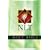 Holy Bible Text Edition NLT, 10th Anniversary edition (Bible Nlt)