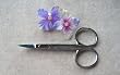 Body Toolz Cuticle Scissors