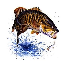 Smallmouth Bass Adult T-Shirt
