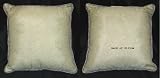 Be' Be' Bugs Celadon Decorator Pillow by Brandee Danielle