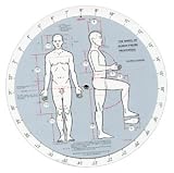 HUMAN PROPORTION WHEEL