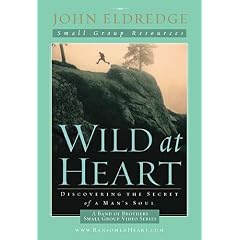 Wild at Heart: A Band of Brothers Small Group Video Series