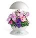 AeroGarden 3 White w/Cascading Petunias Seed Kit by AeroGrow
