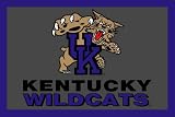 Kentucky Wildcats ( University Of ) NCAA 3x5 Area Rug