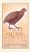 That Quail, Robert