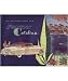 1950 PONTIAC CATALINA Sales Brochure [eb4964N]