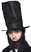 Abraham Lincoln Costume Hat and Beard Set