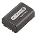 Cheap Sony NP-FH50 H Series Battery Pack Bulk Packaging
