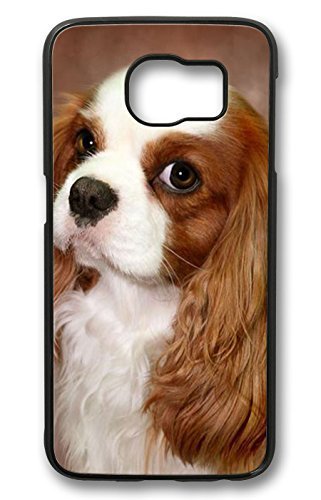 S6 Case, Galaxy S6 Case - Brian114 Cavalier King Charles Spaniel 01 Black Hard Case Cover for samsung galaxy s6 Cover