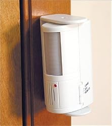 Motion Detector with Remote Alarm