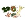 1 Oz Fresh Kaffir Lime Leaves, Lemongrass, Galangal, Thai Chili Set