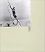 Lewis Hine (Phaidon 55's)