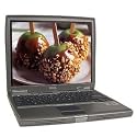 Dell Latitude D600 Pentium M 1.4GHz WIFI 256MB 40GB DVD 14.1-Inch XP Pro with Restore Cd, bonus 512mb Flash Drive
