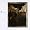 Surfer Rosa