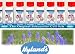 Hyland's - Natrum Mur 30x, 500 tablets