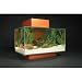 Fluval Edge Aquarium Set, Pewter, 6-Gallon