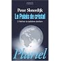 Le Palais de cristal : A l'intérieur du capitalisme planétaire
