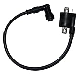 Chinese Ignition Coil 1C for 125-250cc Sport ATVs