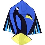Dory Fish