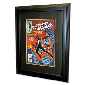 Custom Comic Book Framing System