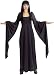 Evilynn Halloween Costume Savoir Faire Costumes